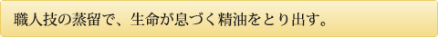 職人技の蒸留で、生命が息づく精油をとり出す。
